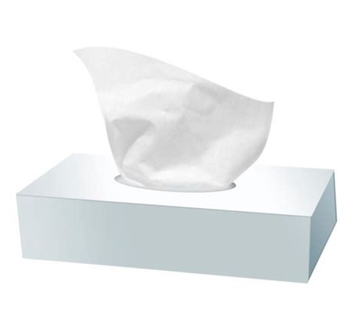 Capture d’écran 2025-08-13 à 20.27.39 BOITE DE MOUCHOIR 40BTE REF C08900 – Image 1